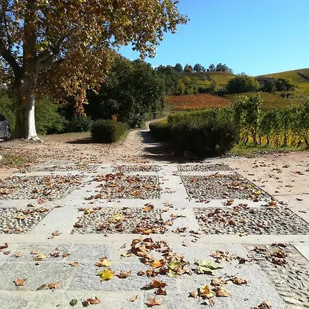 Bed & Breakfast Tenuta Montanello Castiglione Falletto