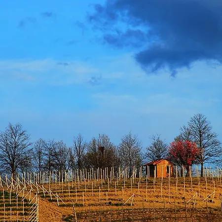Tenuta Montanello 4* Castiglione Falletto
