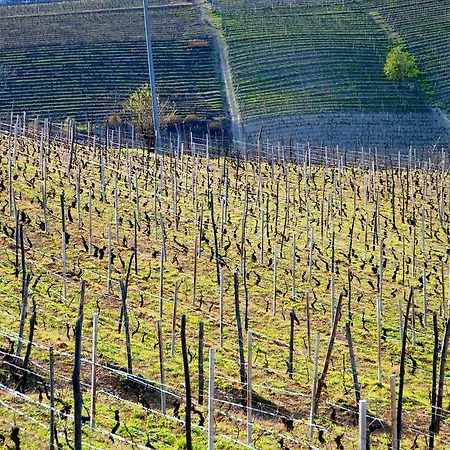 Bed & Breakfast Tenuta Montanello 4*