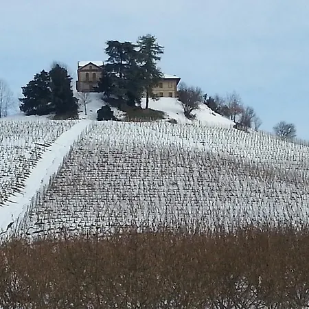 Tenuta Montanello Castiglione Falletto