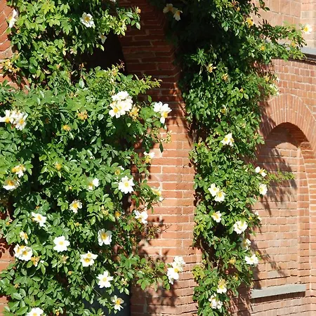 Tenuta Montanello Castiglione Falletto