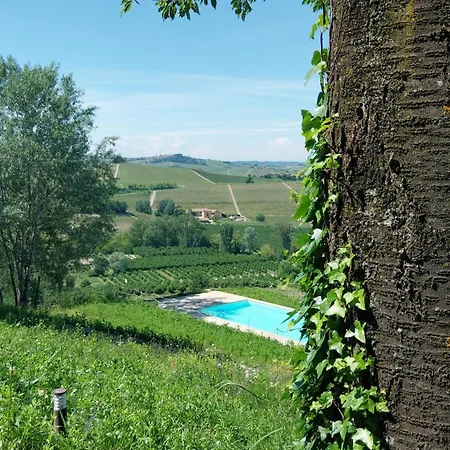Tenuta Montanello קסטיליונה פאלטו