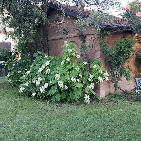 Tenuta Montanello Bed & Breakfast