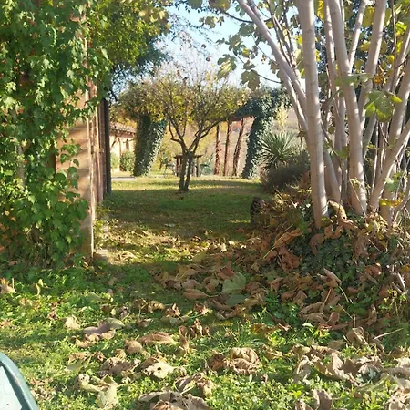 Tenuta Montanello לינה וארוחת בוקר *