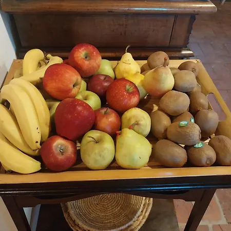 Tenuta Montanello Bed & Breakfast