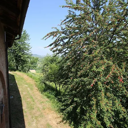 Tenuta Montanello