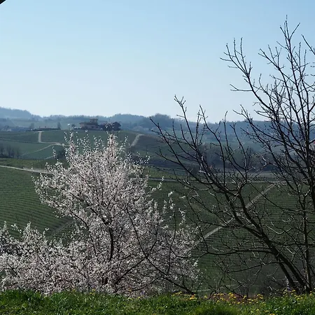 Tenuta Montanello *
