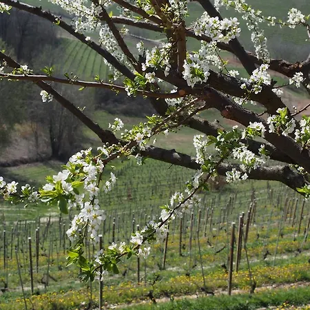 Tenuta Montanello Bed & Breakfast